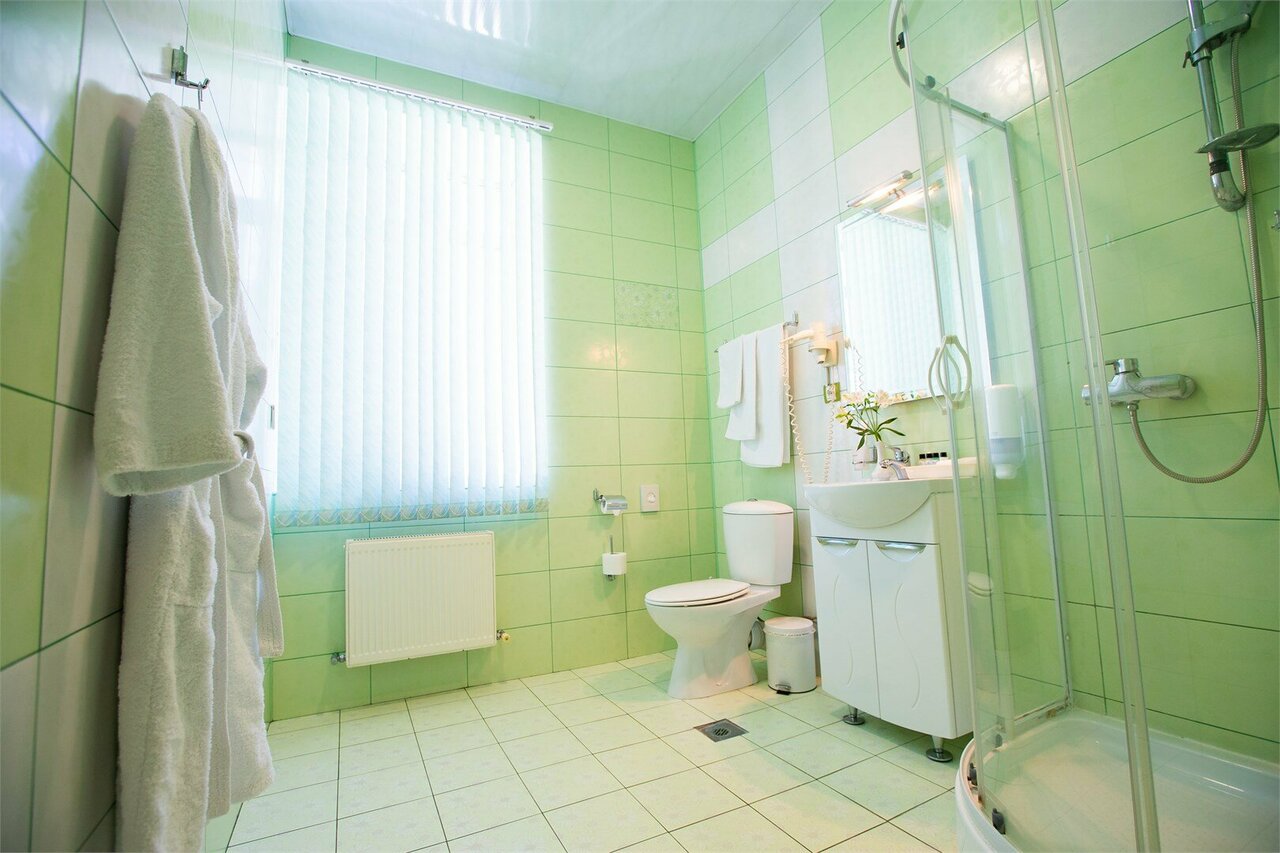 Гостиница Велнесс Тула