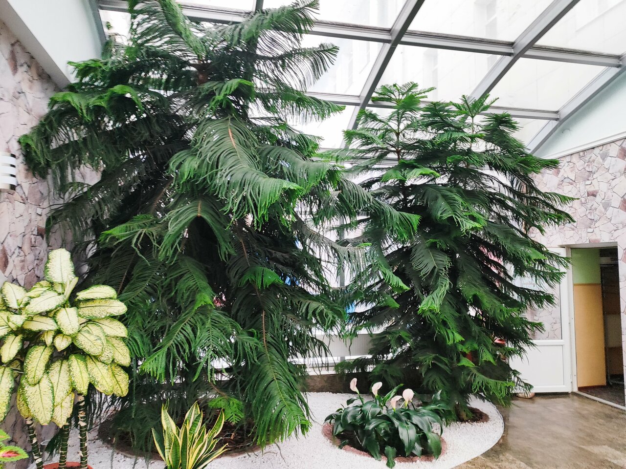 Гостиница Велнесс Тула-228