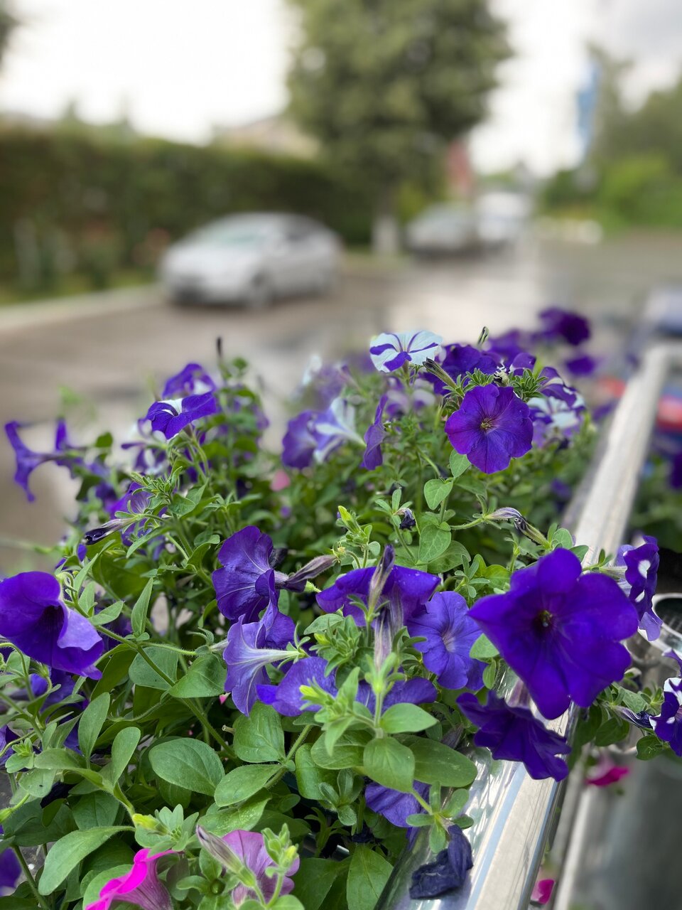 Гостиница Велнесс Тула-33