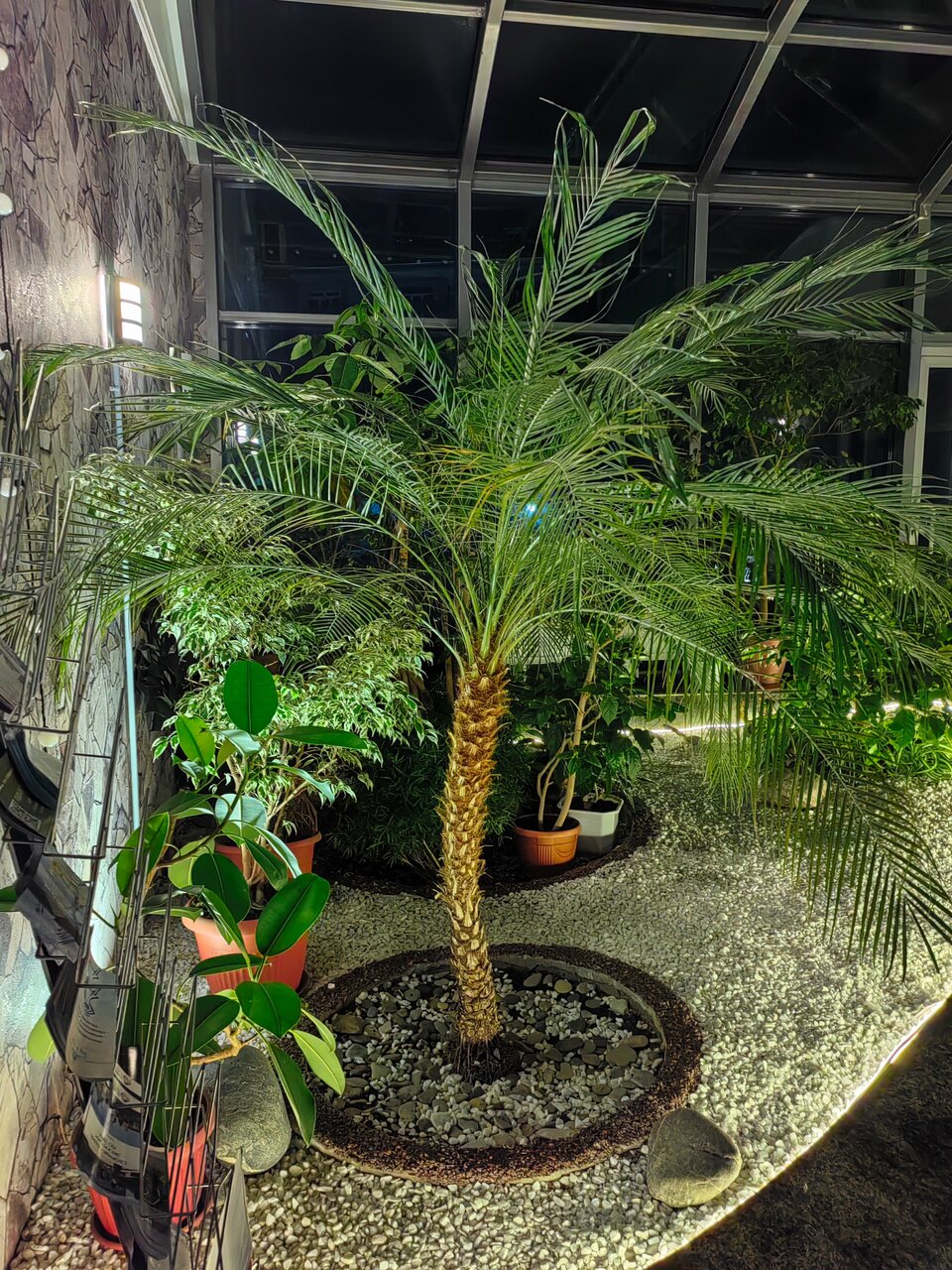 Гостиница Велнесс Тула-204