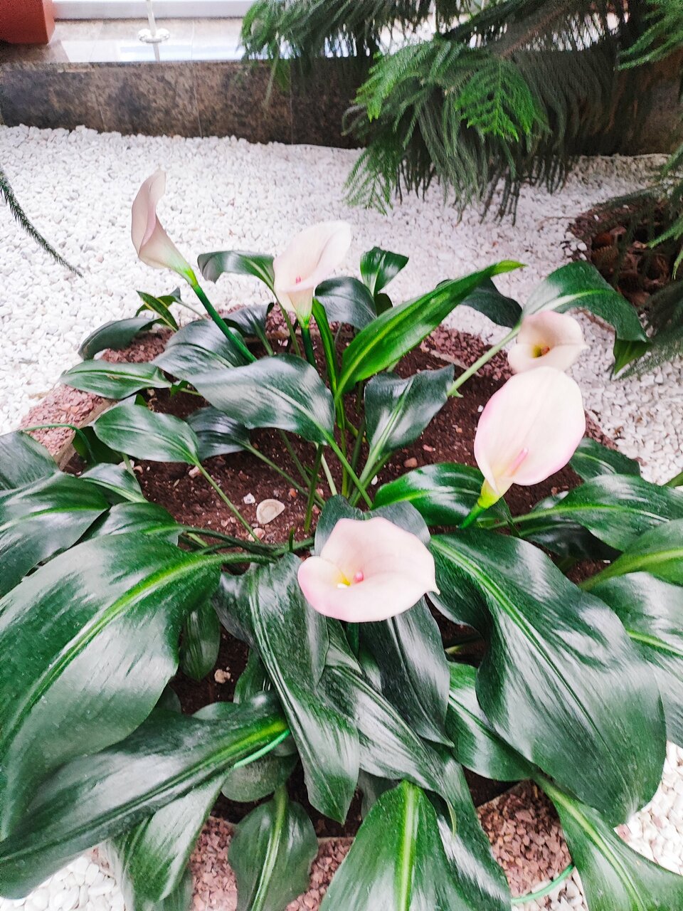 Гостиница Велнесс Тула-176