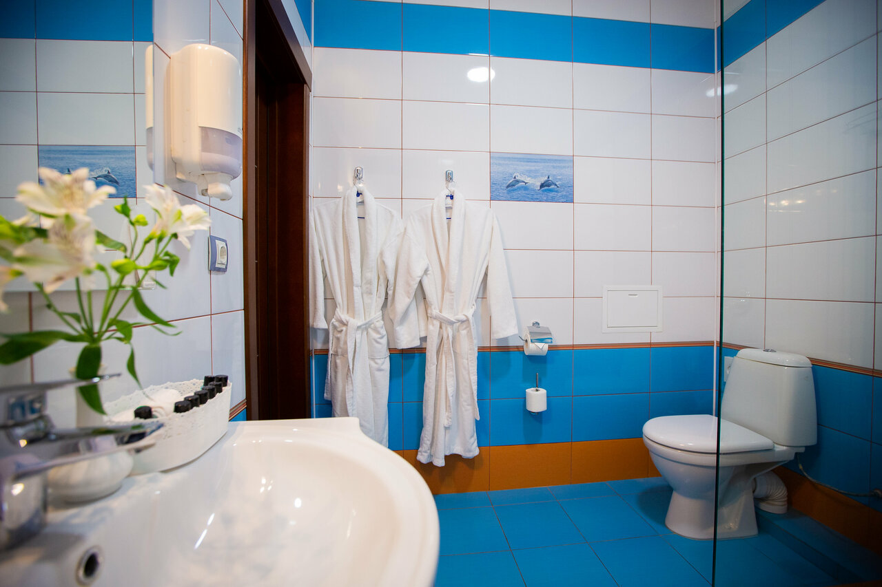 Гостиница Велнесс Тула-100