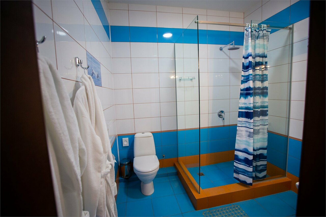 Гостиница Велнесс Тула