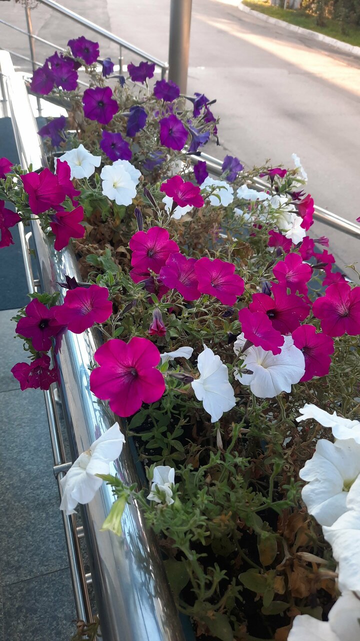 Гостиница Велнесс Тула-194