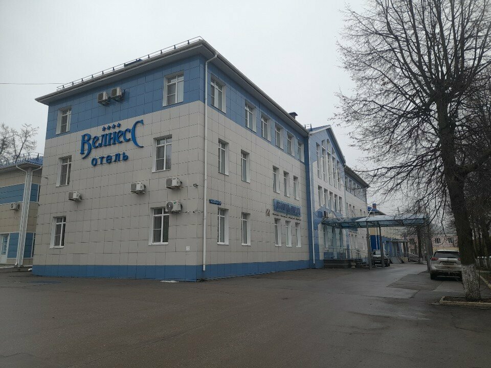 Гостиница Велнесс Тула-90