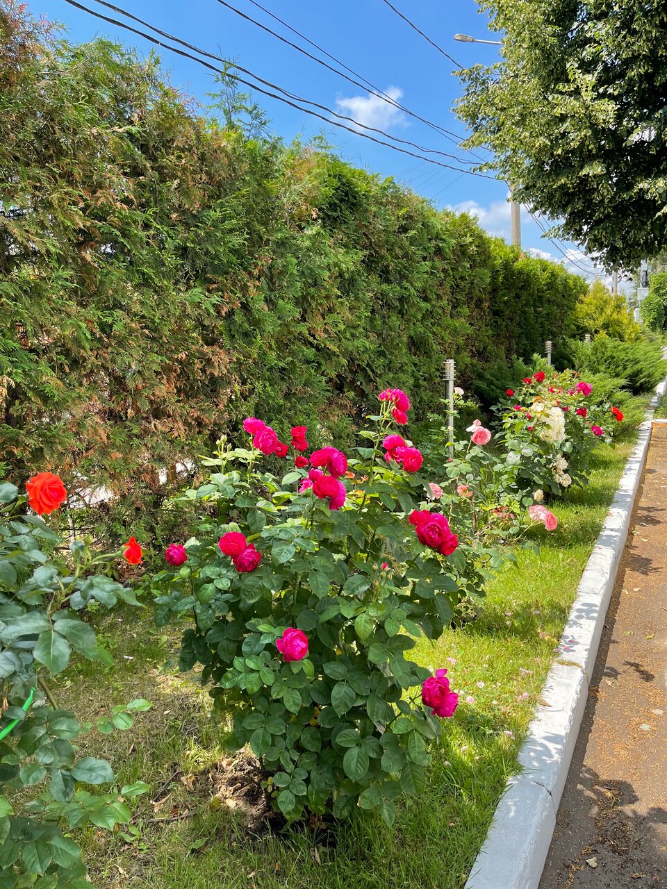 Гостиница Велнесс Тула-20