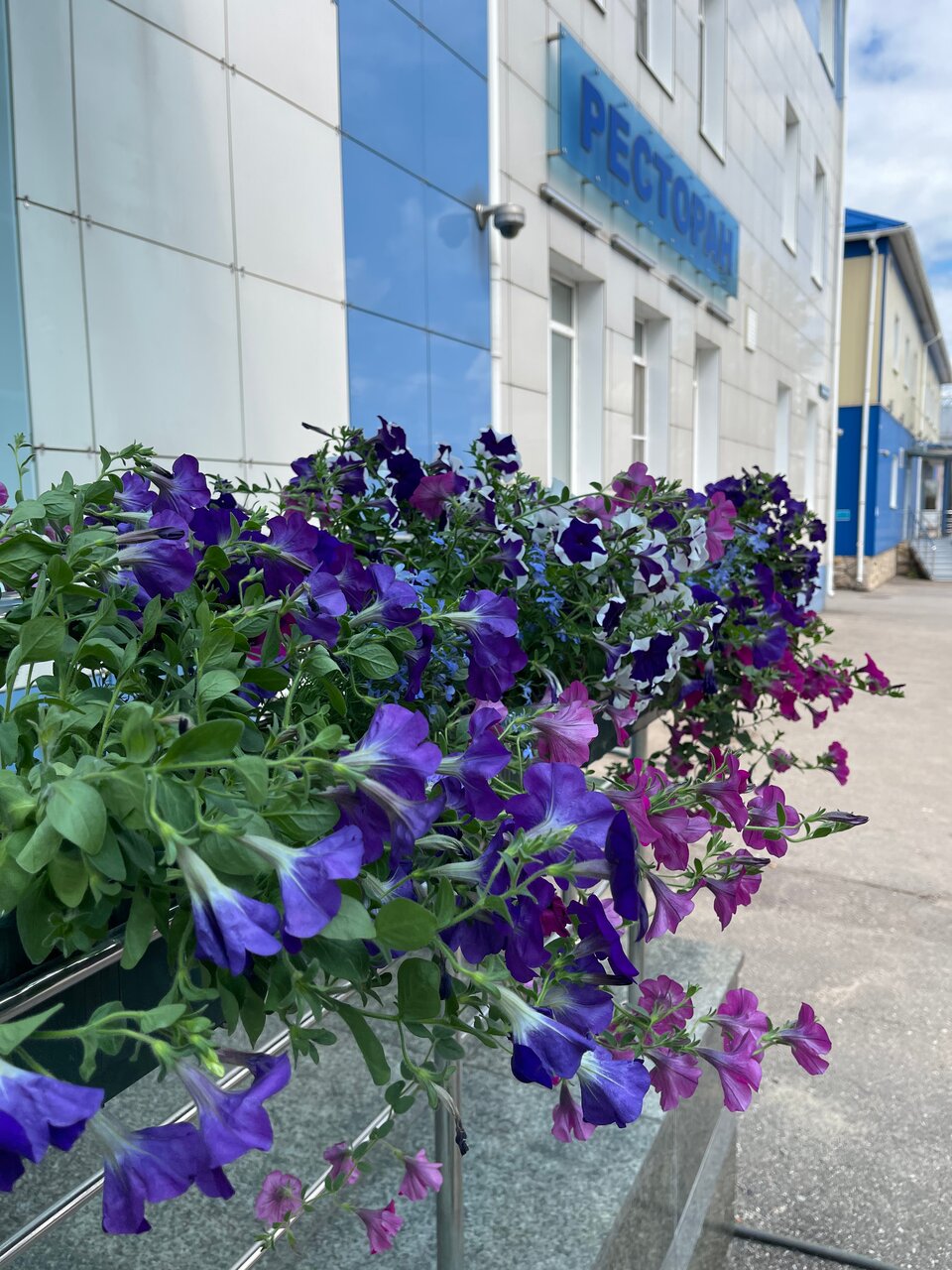 Гостиница Велнесс Тула-29