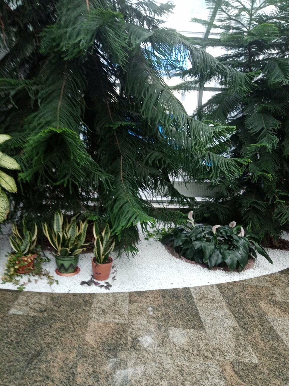 Гостиница Велнесс Тула-186