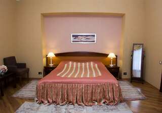 Гостиница Велнесс Тула Двухместный номер Делюкс с 1 кроватью-3