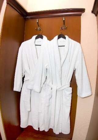 Гостиница Велнесс Тула Номер делюкс с 2 односпальными кроватями-2