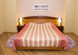 Гостиница Велнесс Тула Номер делюкс с 1 двуспальной кроватью-1