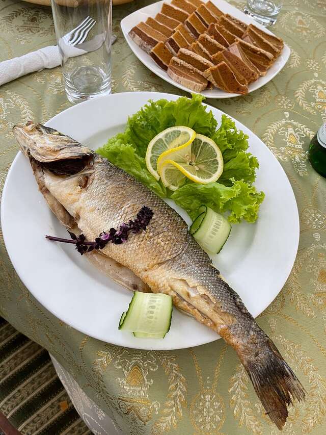 Гостиница Велнесс Тула-26