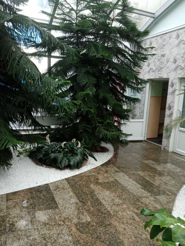 Гостиница Велнесс Тула-198