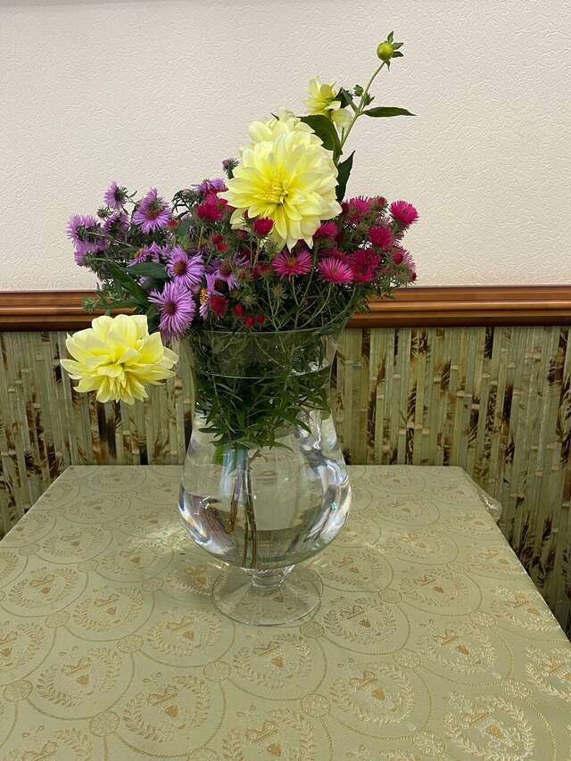 Гостиница Велнесс Тула-113