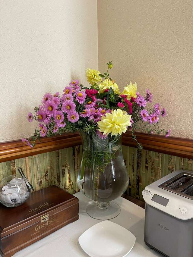 Гостиница Велнесс Тула-94