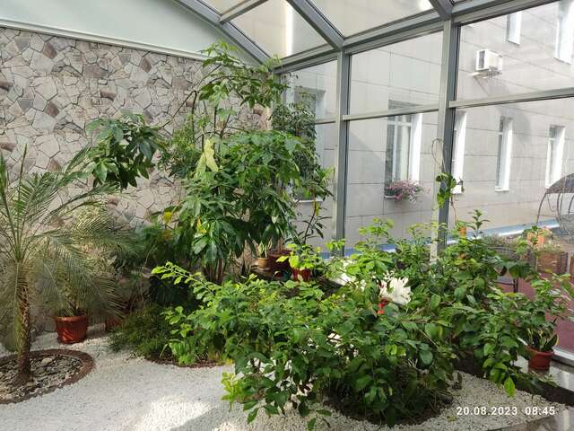 Гостиница Велнесс Тула-192