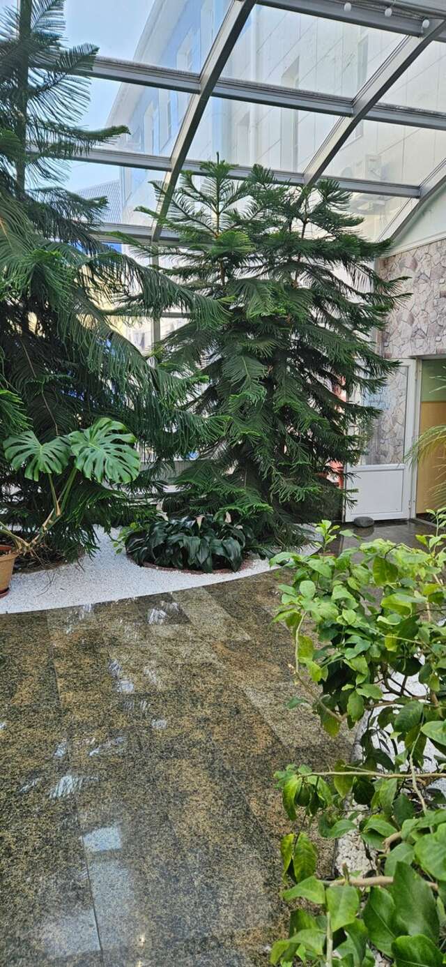 Гостиница Велнесс Тула-209