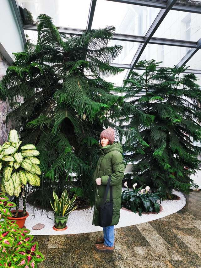 Гостиница Велнесс Тула-202