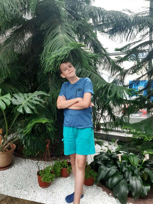 Гостиница Велнесс Тула-200