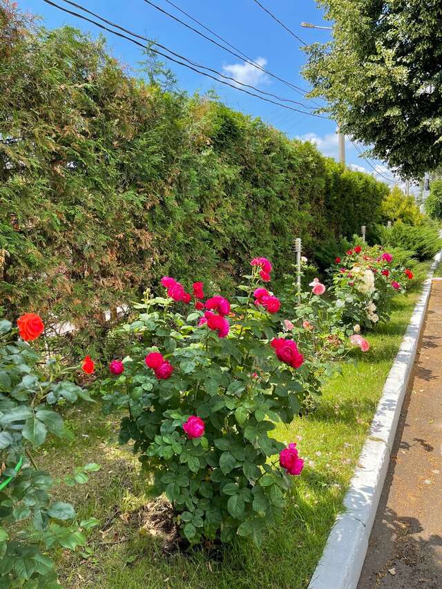 Гостиница Велнесс Тула-19