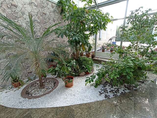 Гостиница Велнесс Тула-181