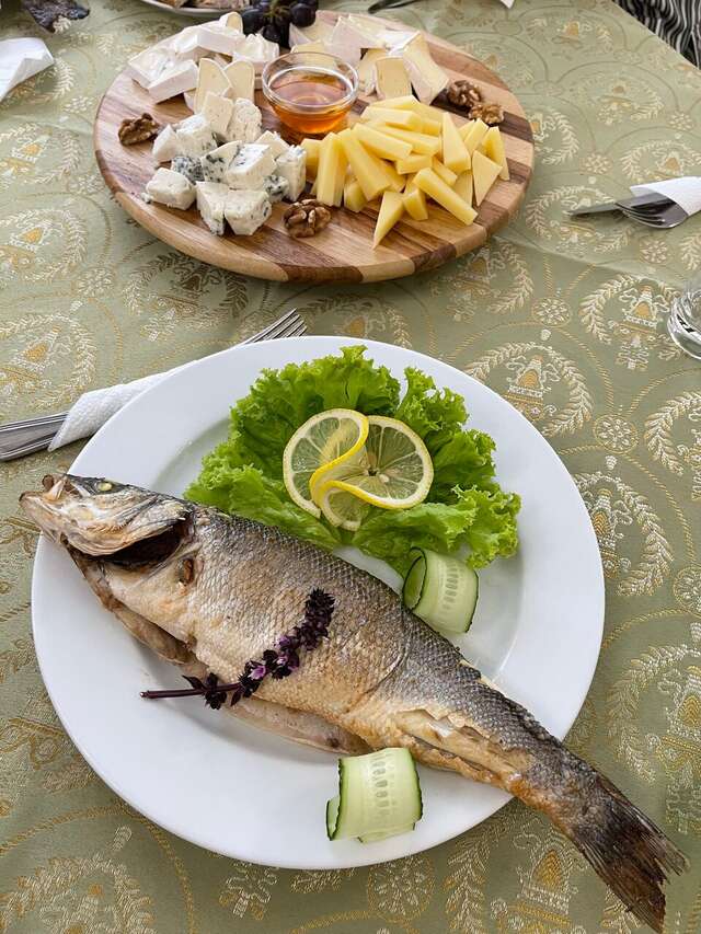 Гостиница Велнесс Тула-23